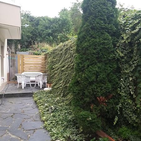 Apartamento Con Pequeno Jardin En El Centro แฟร์โรล ภายนอก รูปภาพ